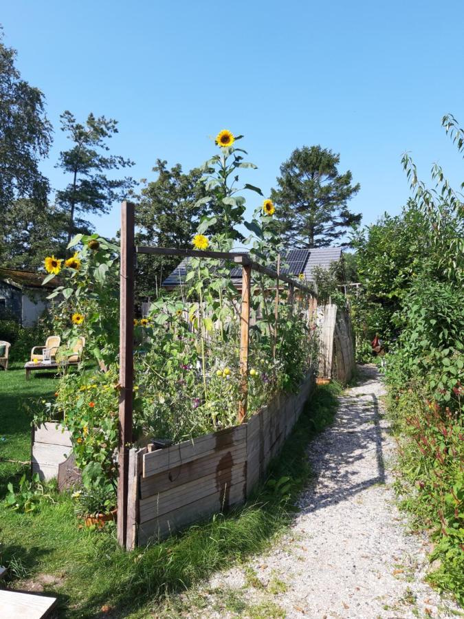 Ecolodge De Parel Σχόορλ Εξωτερικό φωτογραφία