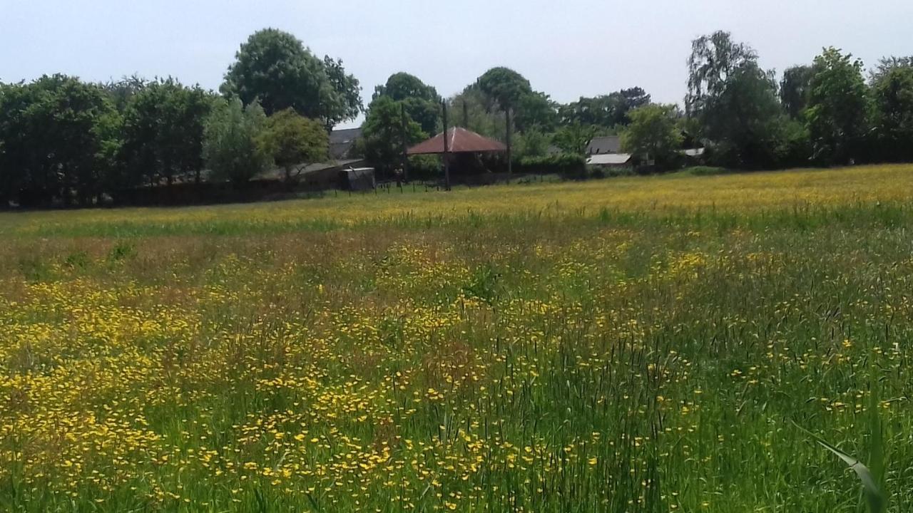 Ecolodge De Parel Σχόορλ Εξωτερικό φωτογραφία