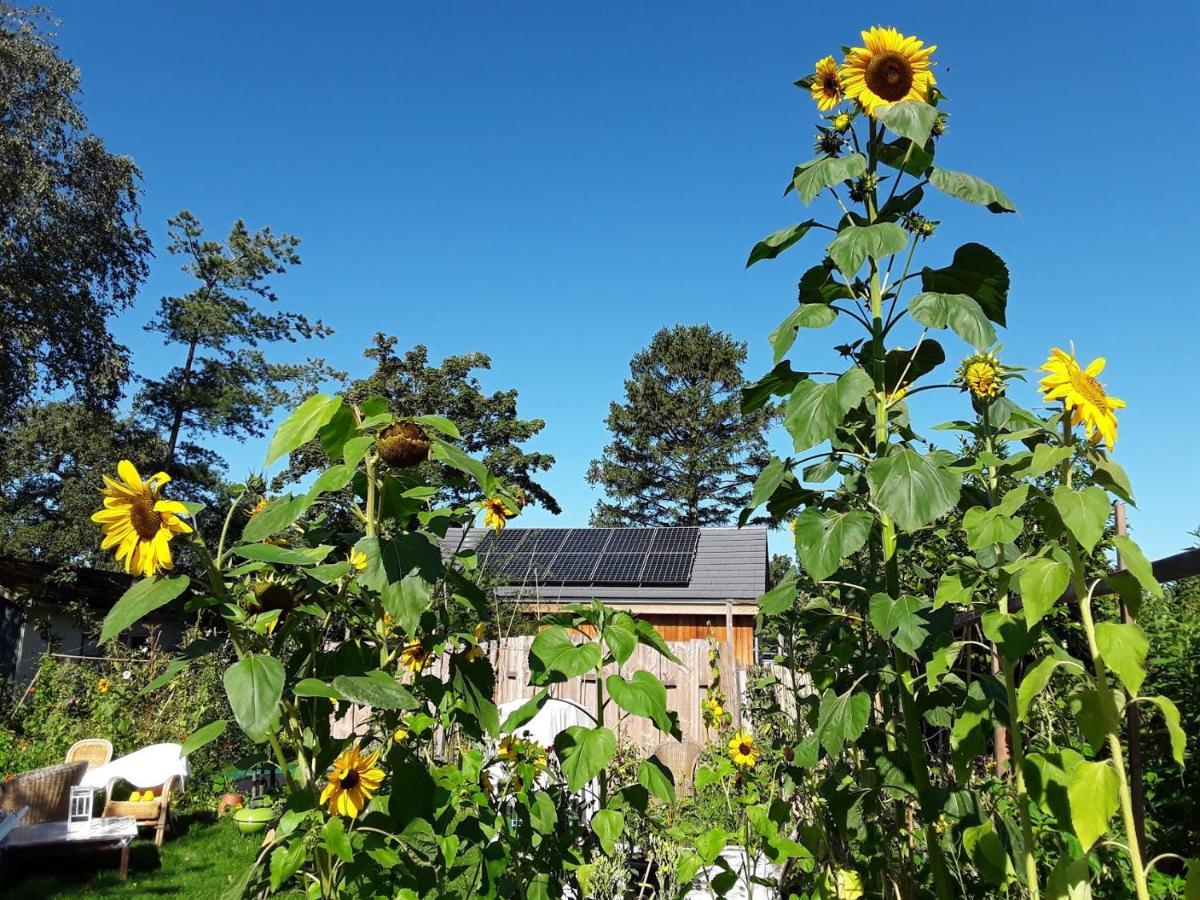 Ecolodge De Parel Σχόορλ Εξωτερικό φωτογραφία